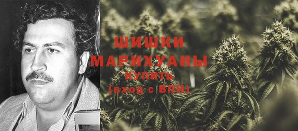 метадон Сатка