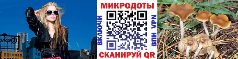 Псилоцибиновые грибы прущие грибы  Карабаш 